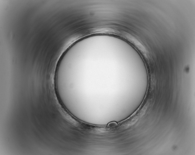 X0000103271330200809191733