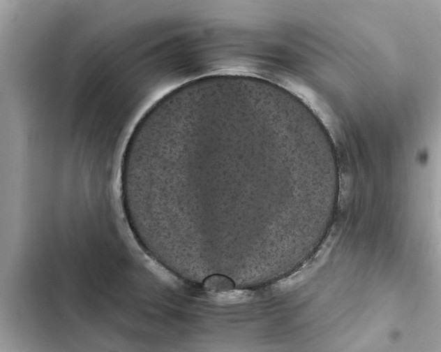 X0000103271331200809191733