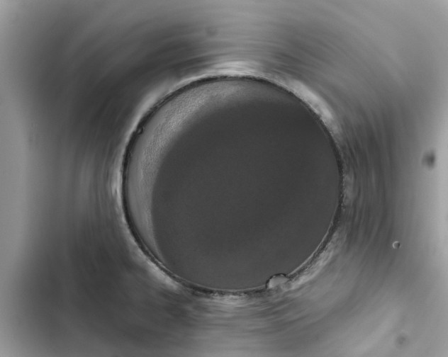 X0000103271334200809191733