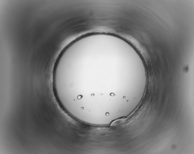 X0000103271335200809191733