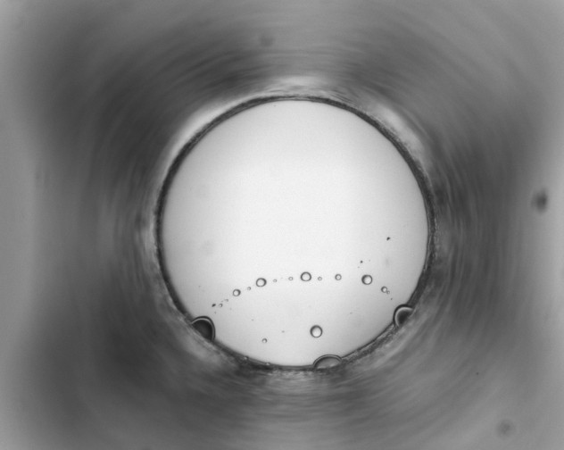 X0000103271336200809191733