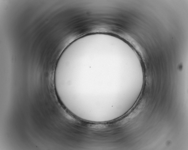 X0000103271337200809191733