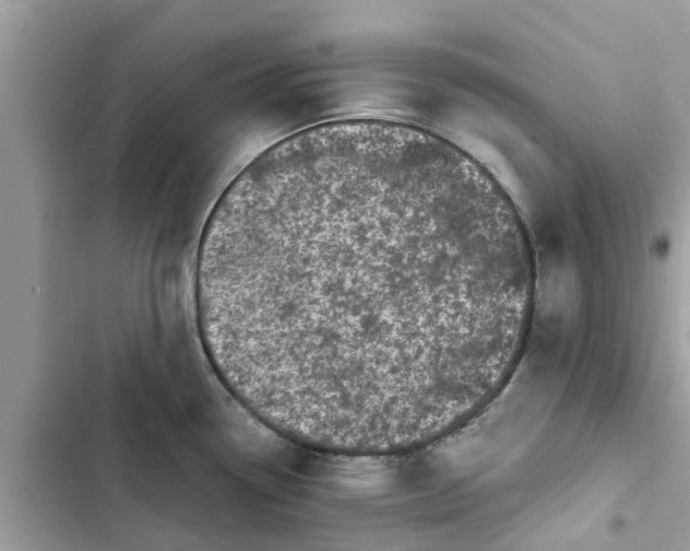 X0000103271338200809191733