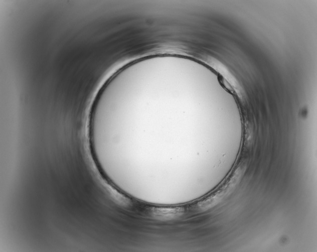 X0000103271339200809191733