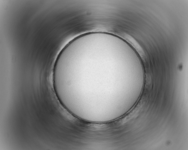 X0000103271340200809191733