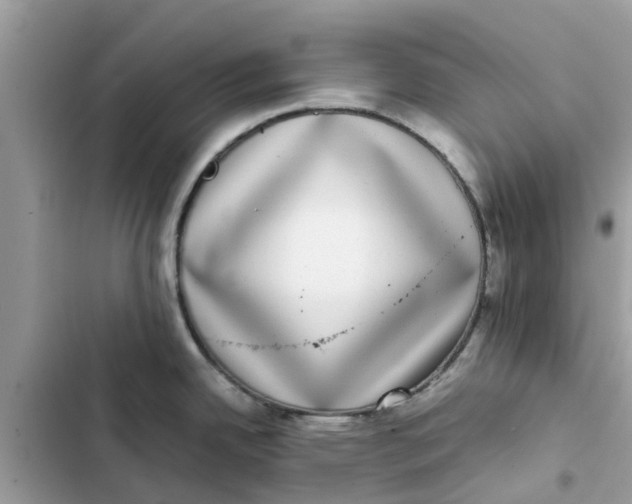 X0000103271342200809191733