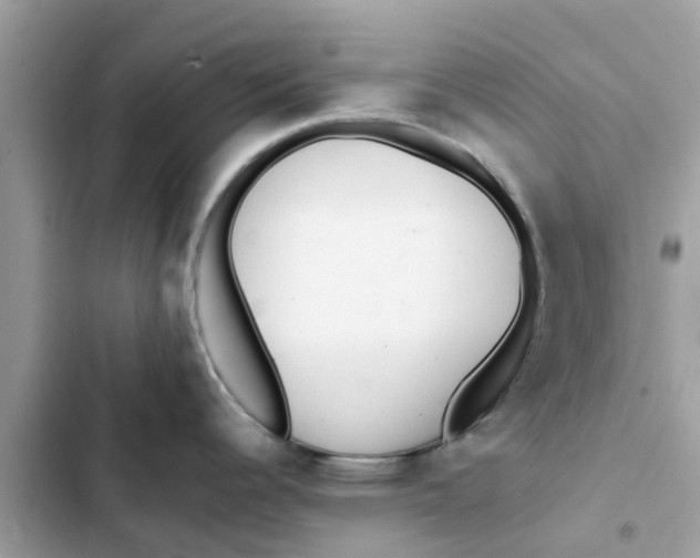 X0000103271344200809191733