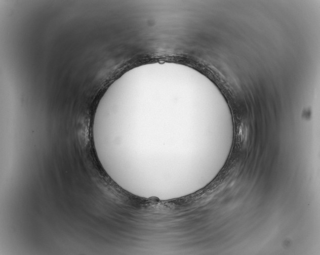 X0000103271348200809191733