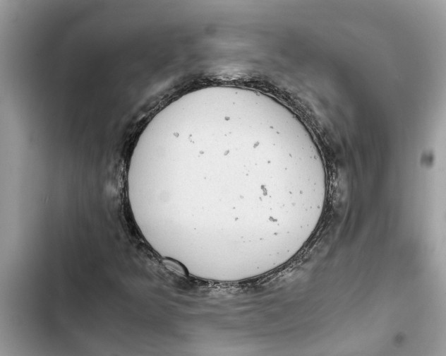 X0000103271349200809191732