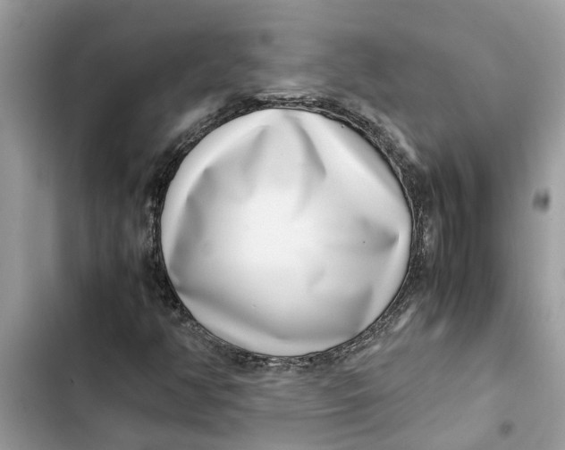 X0000103271350200809191732