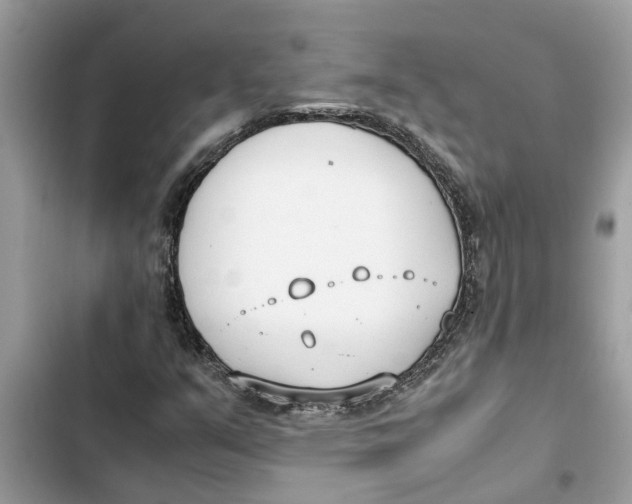 X0000103271351200809191732