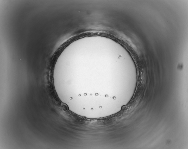 X0000103271352200809191732