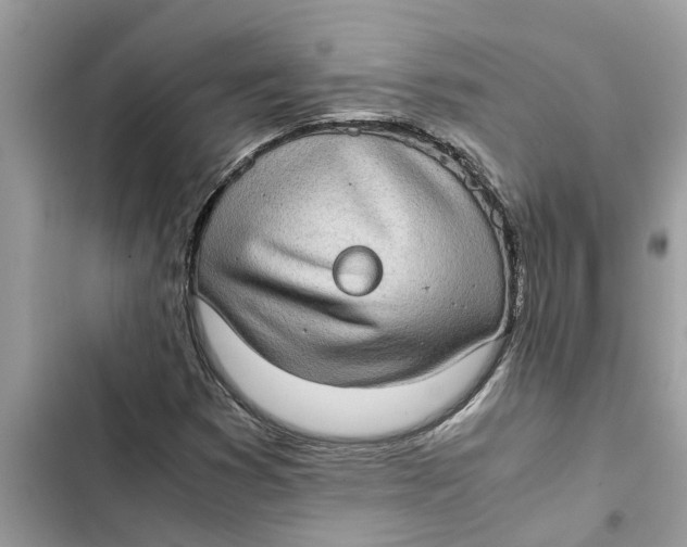 X0000103271353200809191732