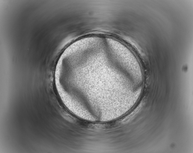 X0000103271355200809191732