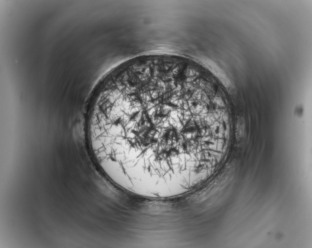 X0000103271356200809191732