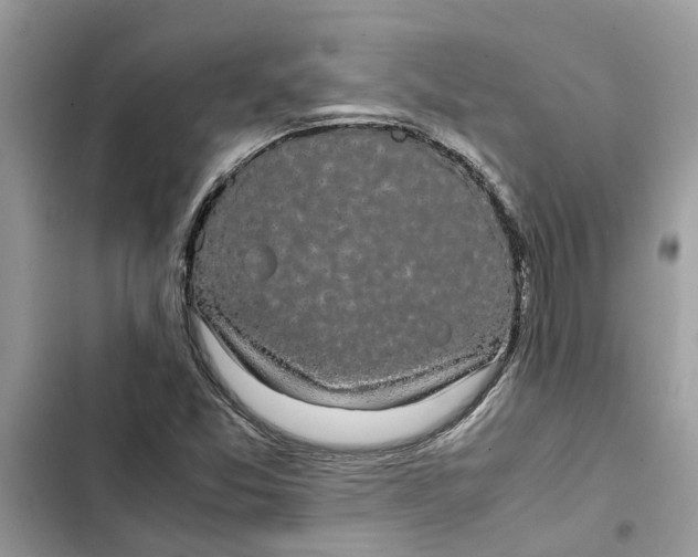 X0000103271357200809191732