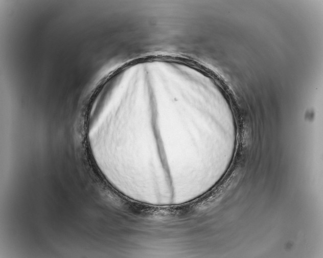 X0000103271359200809191732