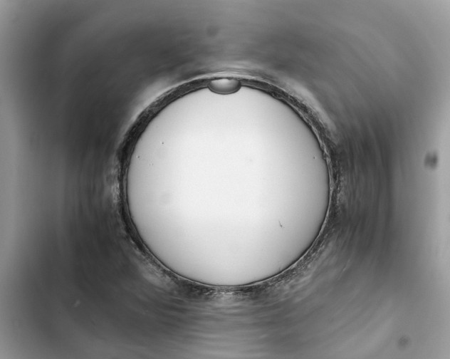X0000103271360200809191732