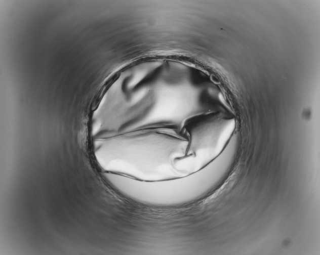 X0000103271361200809191732