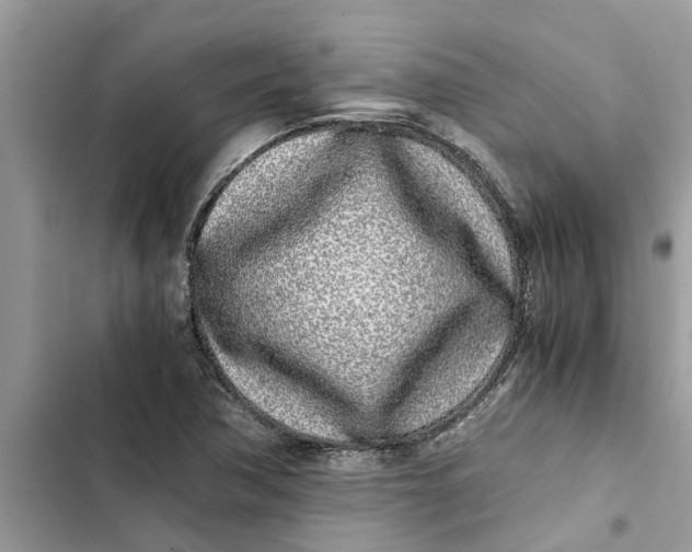 X0000103271362200809191732