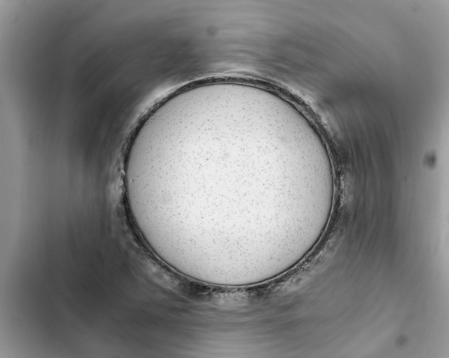 X0000103271363200809191732