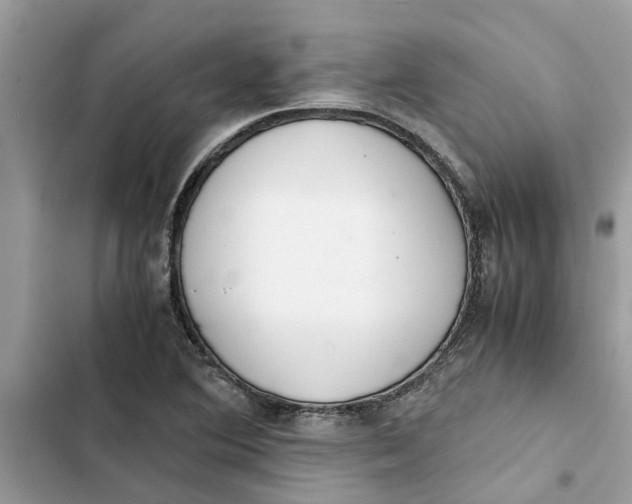 X0000103271364200809191732