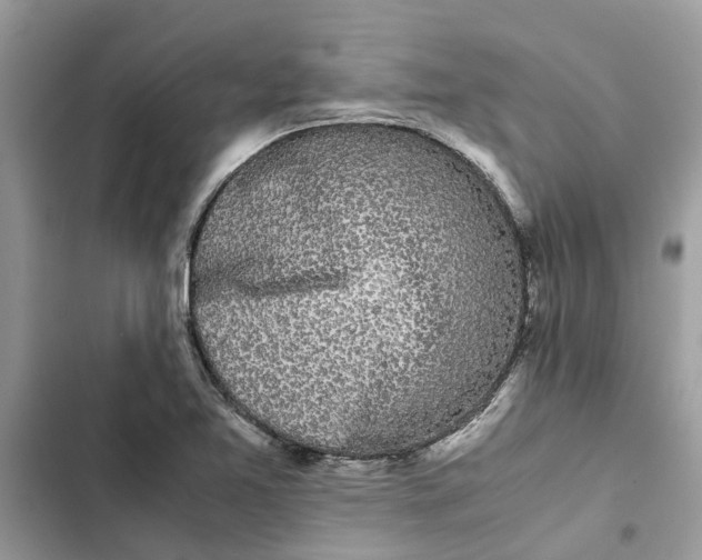 X0000103271365200809191732