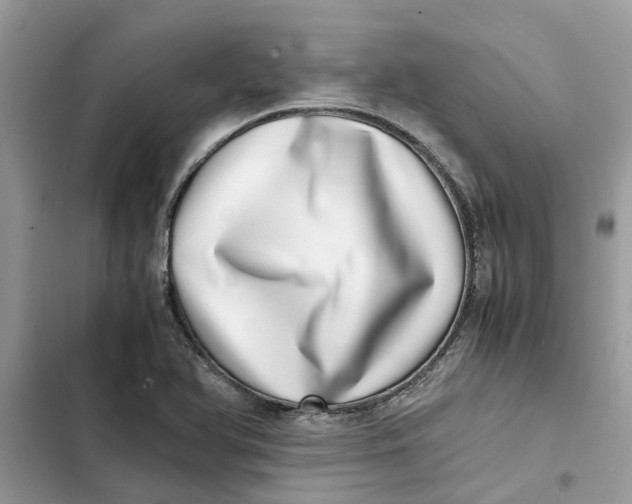 X0000103271366200809191732