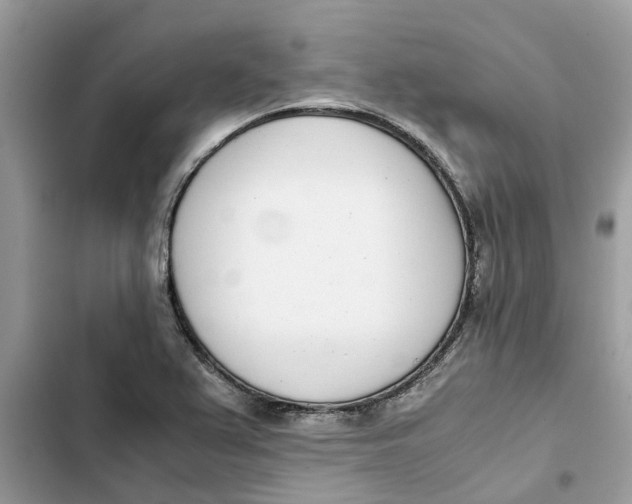 X0000103271367200809191732