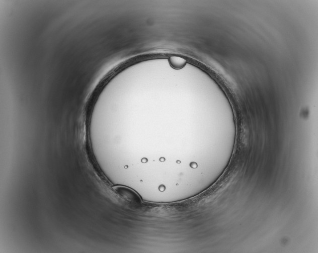 X0000103271368200809191732