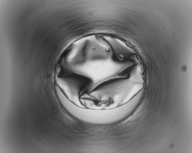 X0000103271369200809191732