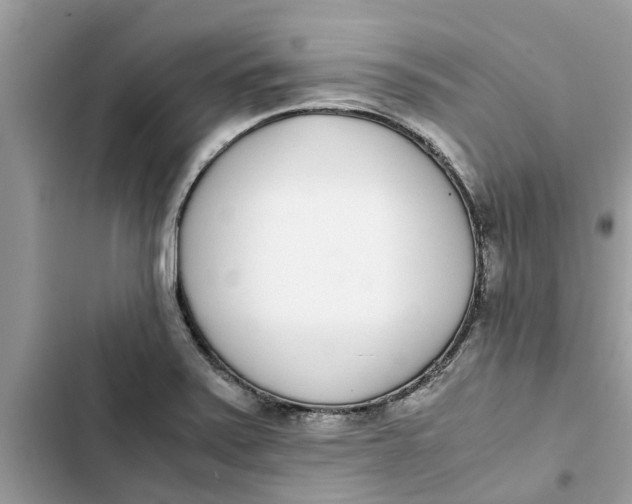 X0000103271371200809191732