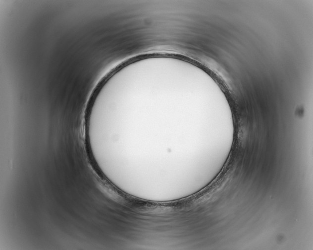 X0000103271372200809191732