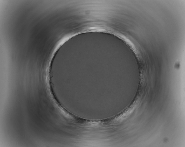 X0000103271373200809191732