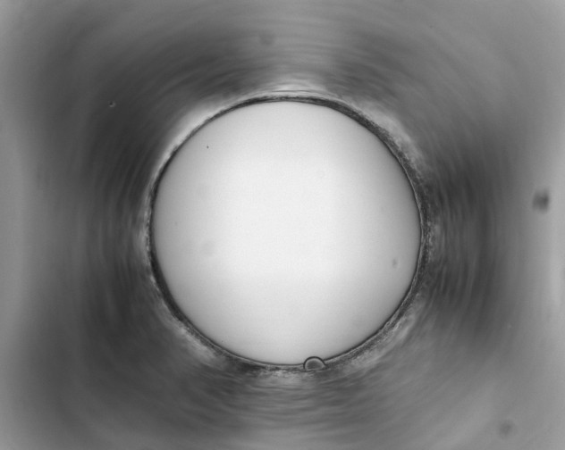 X0000103271374200809191732