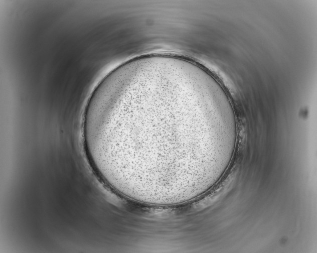 X0000103271375200809191732
