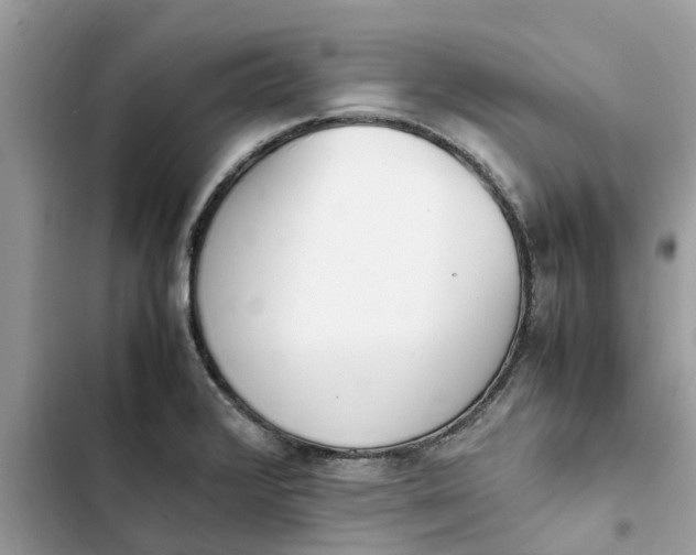 X0000103271376200809191732