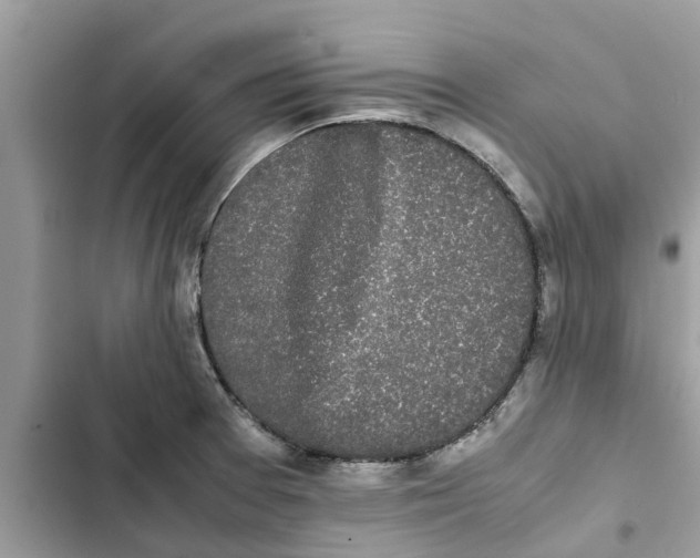X0000103271377200809191732