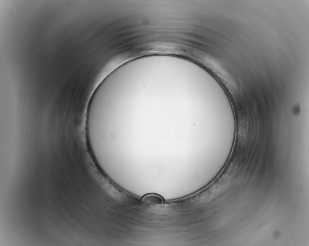 X0000103271378200809191732