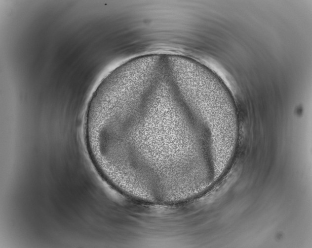 X0000103271379200809191732