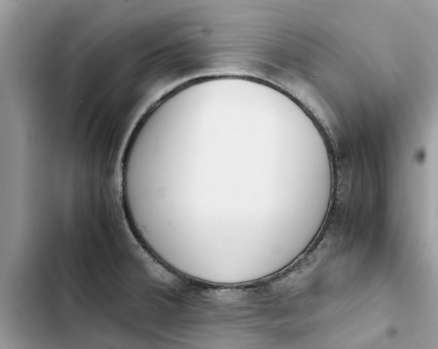 X0000103271380200809191732