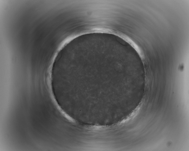X0000103271381200809191732