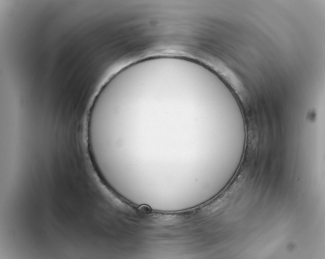 X0000103271382200809191732
