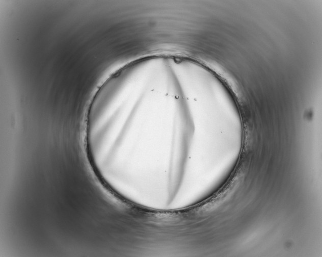 X0000103271383200809191732