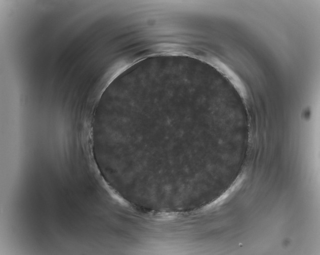 X0000103271385200809191732