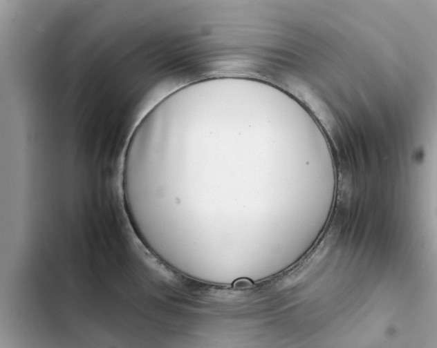 X0000103271386200809191732