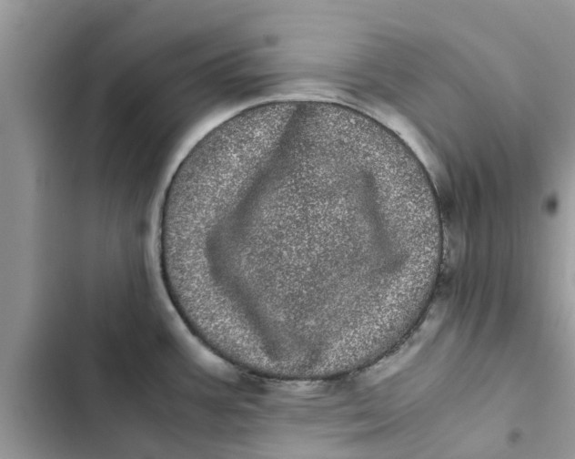 X0000103271387200809191732