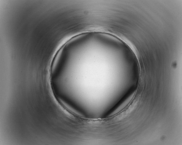 X0000103271389200809191732