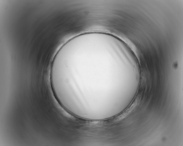 X0000103271390200809191732