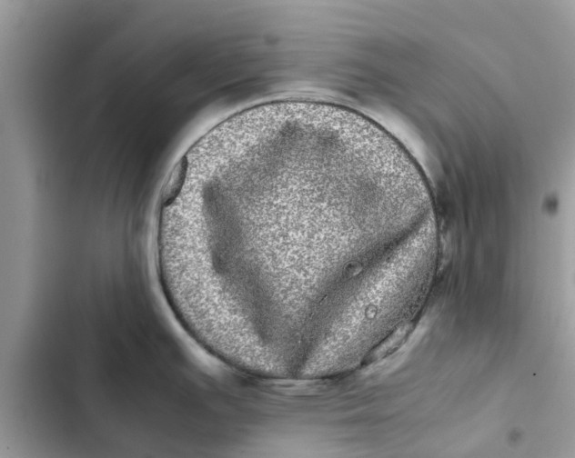 X0000103271391200809191732